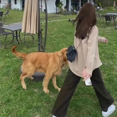 真情狂爱